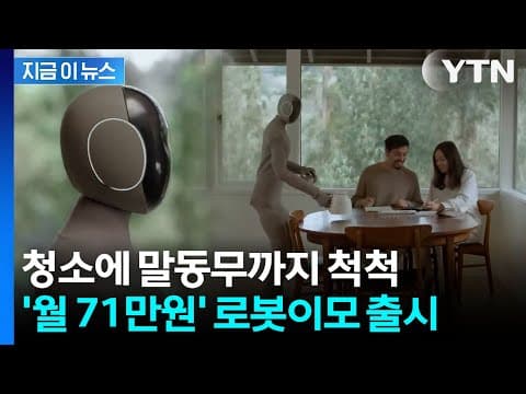 현장 반응